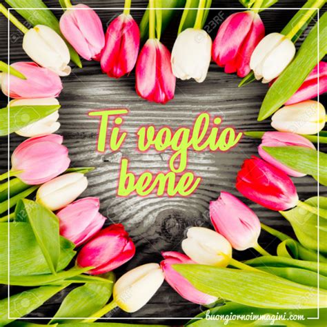 Regalare dei fiori per il compleanno è un'idea romantica e che non passerà mai di moda. Tulipani Immagini Fiori Buon Compleanno