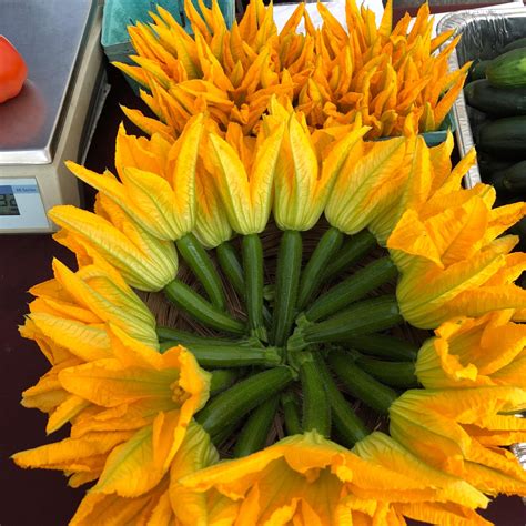 Chevy Chase Farmers' Market | Lexington KY