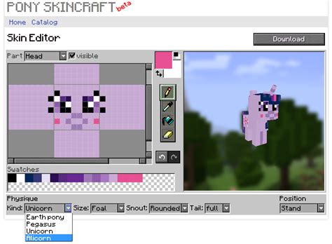 How To Make A Skin Skins Mapping And Modding Java Edition Images