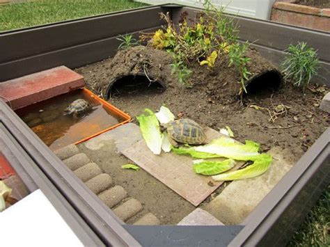 Ideas For Outdoor Enclosures Tortoise Habitat Turtle Habitat