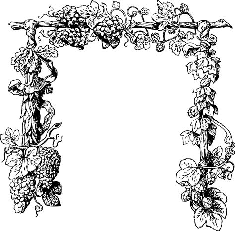 Check spelling or type a new query. Clipart - grape vine