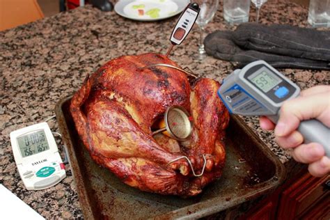 dont forget to check the temp of your turkey before serving meme guy