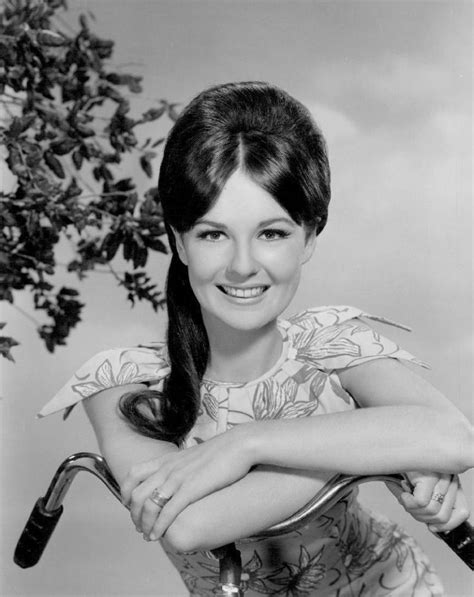 Shelley Fabares Young Celebrities Classic Portraits Shelley