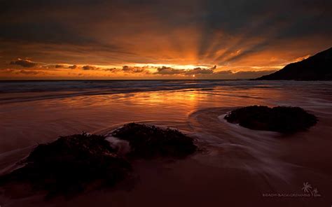 , ocean sunset sunsets nature background wallpapers on desktop 1440×2560. Ocean Sunset Wallpaper - WallpaperSafari