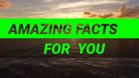 Amazing Facts 16 Youtube