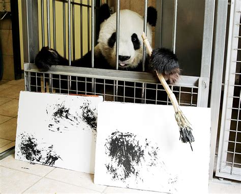 Painting Panda Lure Visitors In Vienna Zoo Photogallery