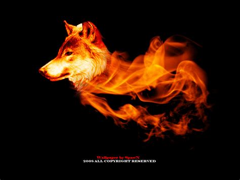 Wolf In Fire By Azhack On Deviantart