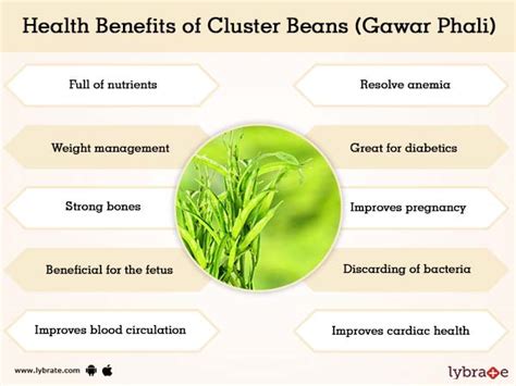 cluster beans gawar phali benefits and its side effects lybrate