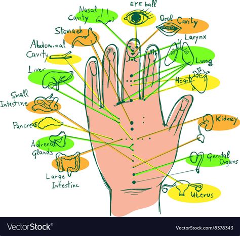 Hand Reflexology Chart Pressure Points Hand Reflexology 60 Off