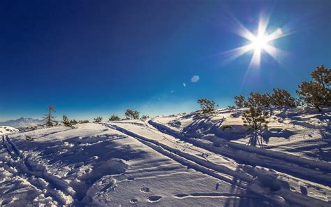 Download Wallpaper Sunny Day In This Winter Landscape 2560x1600