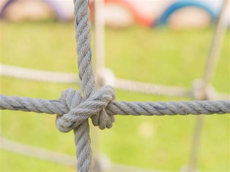 Rope Tied In A Knot Stock Image Image Of Ropes Blue 76792061