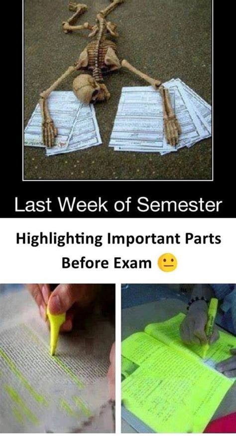 Top 28 Exam Memes Colleges Exams Memes Exam Quotes Funny Exams Funny