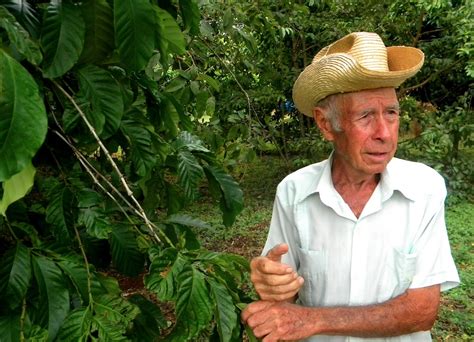 Our cuban coffee beans are grown in cuba's caribbean mountains. Former British Politician Leads $4 Million Investment in ...