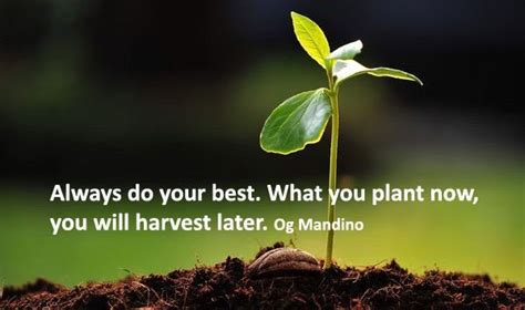 Always Do Your Best What You Plant Now You Will Harvest Later
