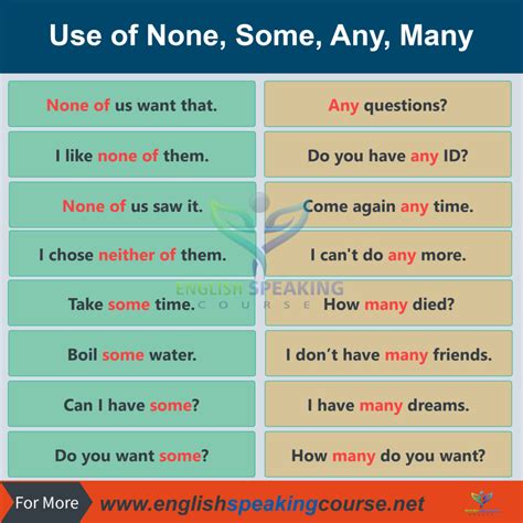 Use Of None Some Any Many Grammar