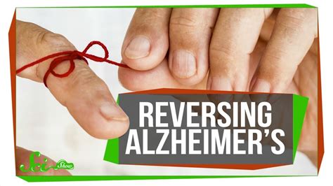 researchers reverse alzheimer s memory loss in mice scishow news youtube