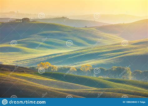 Sunny Surrise Landscape Wavy Fields At The Morning Stock Photo