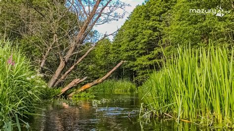 Szlak wodny kajakowy Spływ kajakowy rzeka Łaźnia Struga