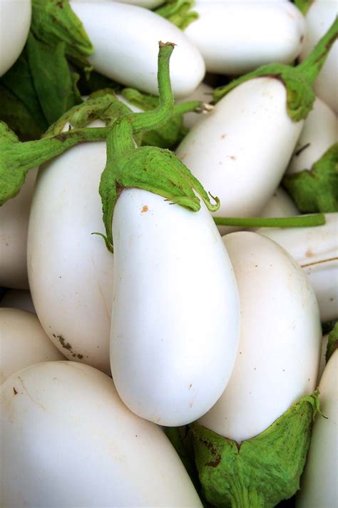 9 Of The Best White Eggplant Varieties Gardeners Path