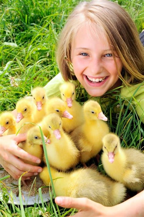 Ducks adapt well to a wide range of systems of care provided they receive essential basic care. Keeping Baby Ducks as Pets - Creative Homemaking