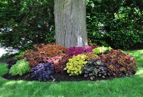 15 Eye Catching Flower Beds Around Trees You Need To See Top Dreamer