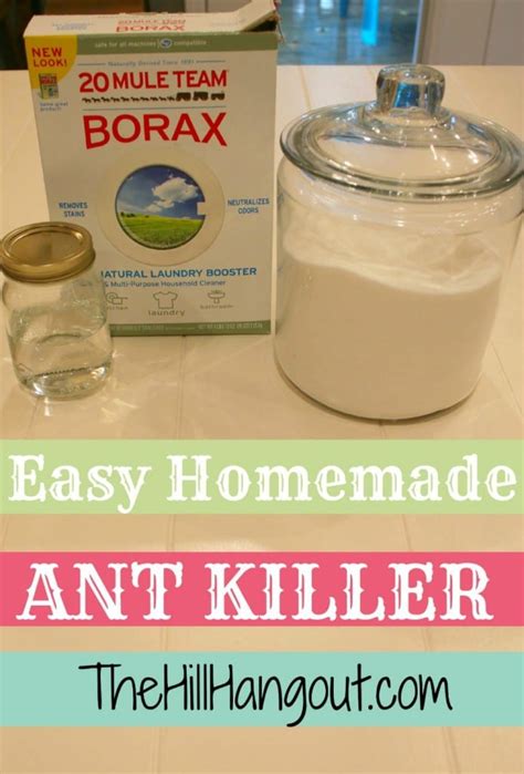 This is the reason why best fire ant killer reviews are available for … The Best Homemade Ant Killer - The Hill Hangout