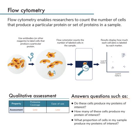 Traditional Protein Analysis Methods Western Blotting Flow Cytometry And Other Methods Using