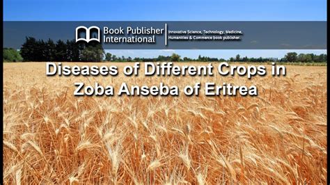 Diseases Of Different Crops In Zoba Anseba Of Eritrea Youtube