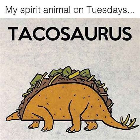 41 tuesday memes that are just hilarious ladnow tuesday meme tuesday humor work memes
