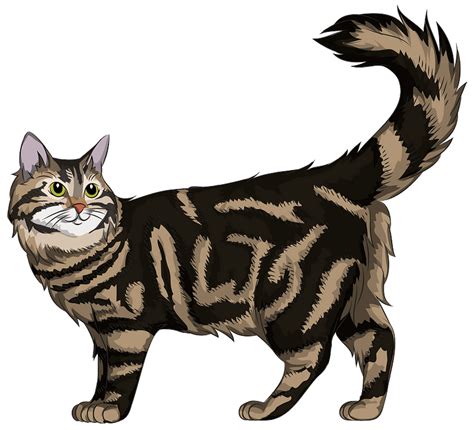 Maine Coon Cat Clipart Free Download Transparent Png Creazilla