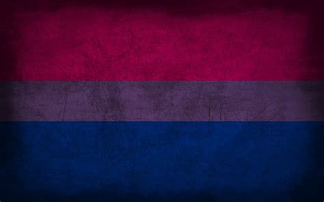 Bisexual Grunge Flag By Elthalen On Deviantart