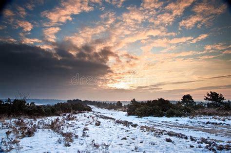Vibrant Winter Sunrise Landscape Stock Photo Image Of Moors Nature