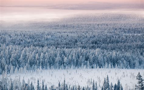 Download Wallpaper 3840x2400 Forest Snow Aerial View Winter 4k Ultra