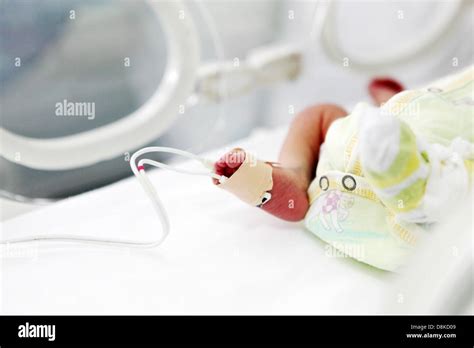 Newborn Baby In Hospital Stock Photo Alamy