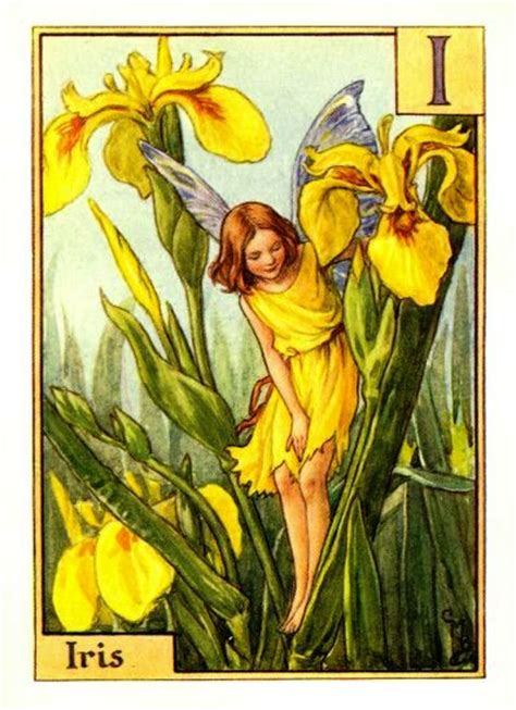 Iris Flower Fairy Vintage Print Cicely Mary Barker The Flower Fairy Shop
