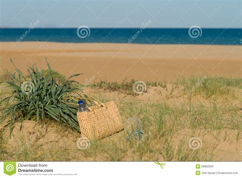 Summer Scene In Beach Stock Photos Image 29962553