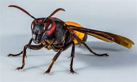 Maybe you would like to learn more about one of these? Obat Nyeri Otot Punggung Atas - Apotek I