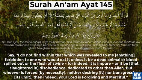 Surah Al Anam Ayat 142 6142 Quran With Tafsir My Islam