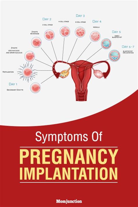 8 Early Signs And Symptoms Of Pregnancy Implantation Early Pregnancy Signs Implantation