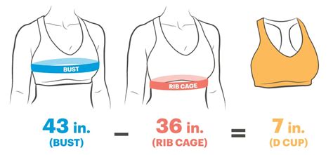 News How To Find Your Sports Bra Size