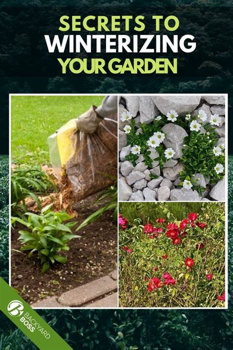 Winterize Your Garden What You May Not Know Winter Plants Plants