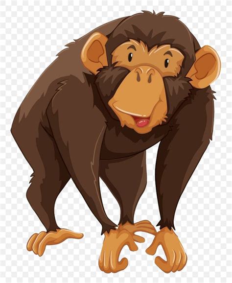 Gibbon Monkey Chimpanzee Illustration Png 809x1000px Gibbon Ape