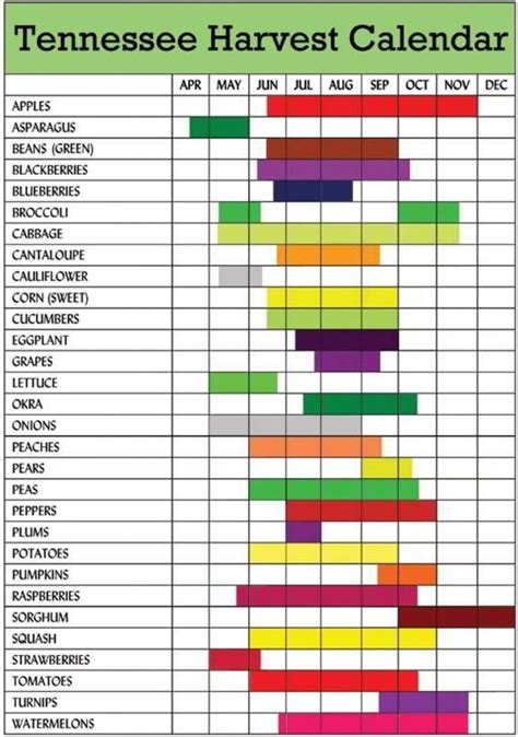 Tn Produce Seasons Season Fruits And Vegetables Asparagus Beans
