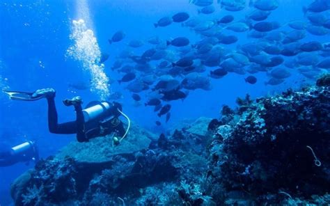 Nusa Lembongan Scuba Diving Trip Inclusive Bali Tour