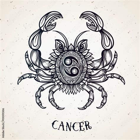 Cancer Zodiac Sign Drawings Discover The Artistic Interpretations Of