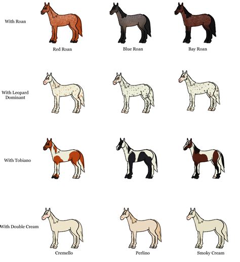 Horse Color Chart Breeding