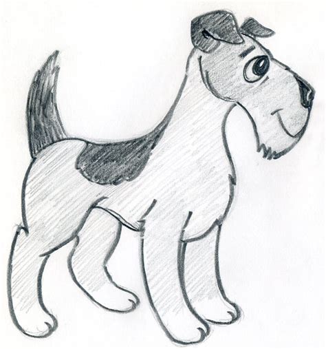 Pictures Of Dogs To Draw Retriever Golden Drawing Dog Drawings