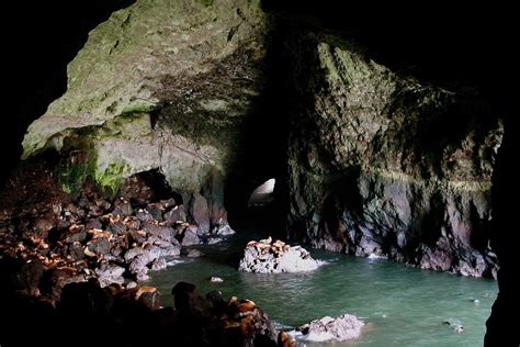 Sea Lion Caves Eugene Cascades And Oregon Coast