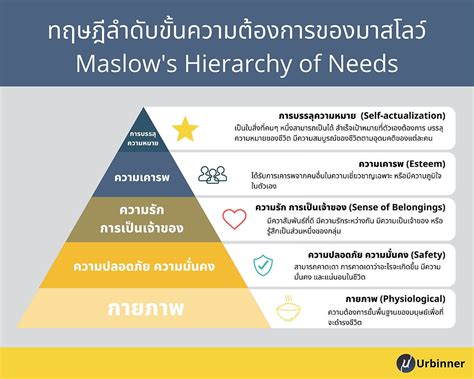 ทฤษฎีลำดับขั้นความต้องการของมาสโลว์ Maslows Hierarchy Of Needs