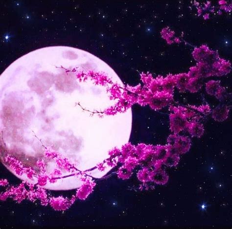 Awasome Moon Pink Wallpaper References